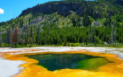 Getting The Most Out Of Your Visit To Yellowstone National Park